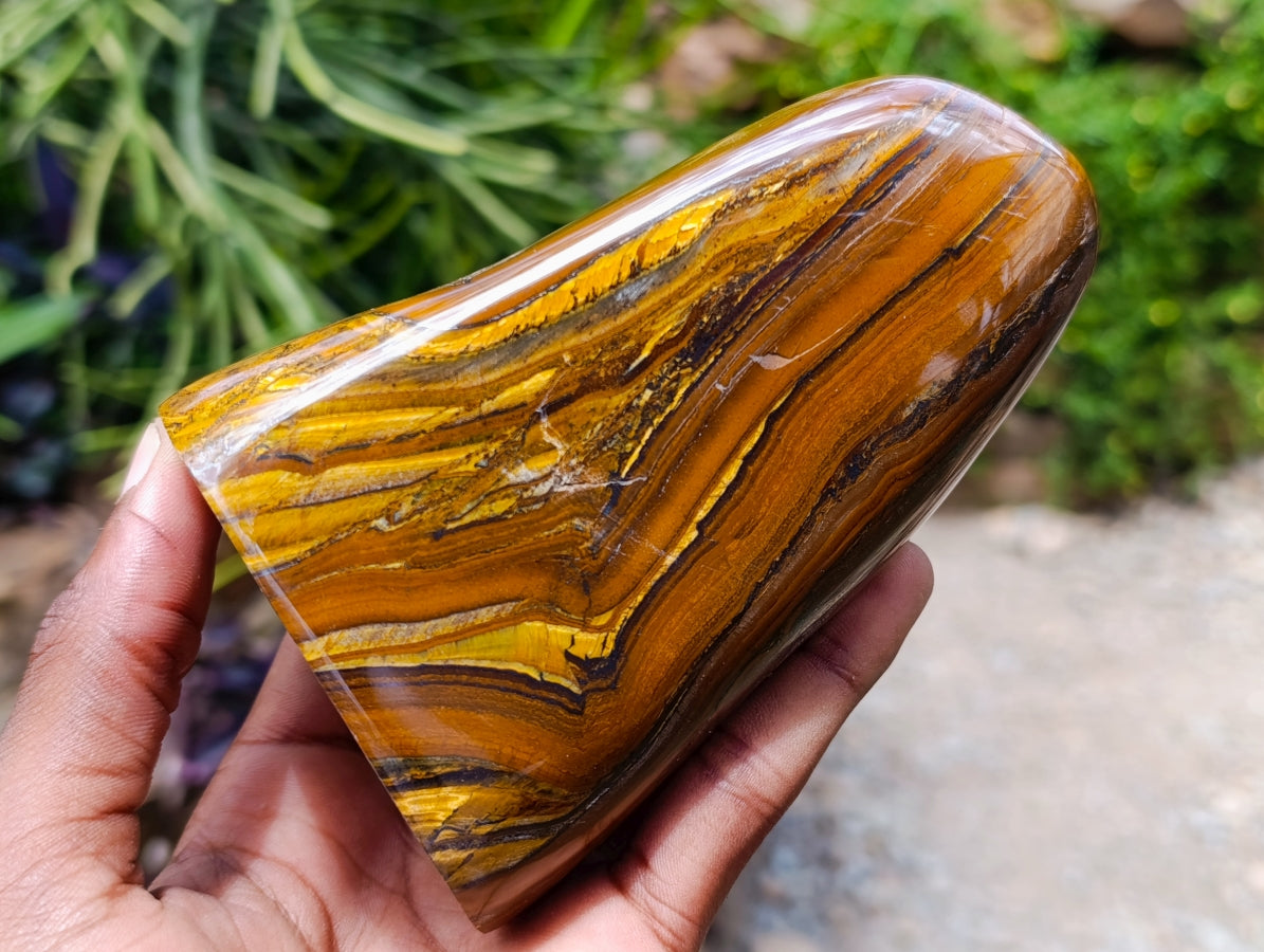 Polished Golden Tigers Eye With Banded Iron Stone Standing Free Forms x 2 From Prieska, South Africa