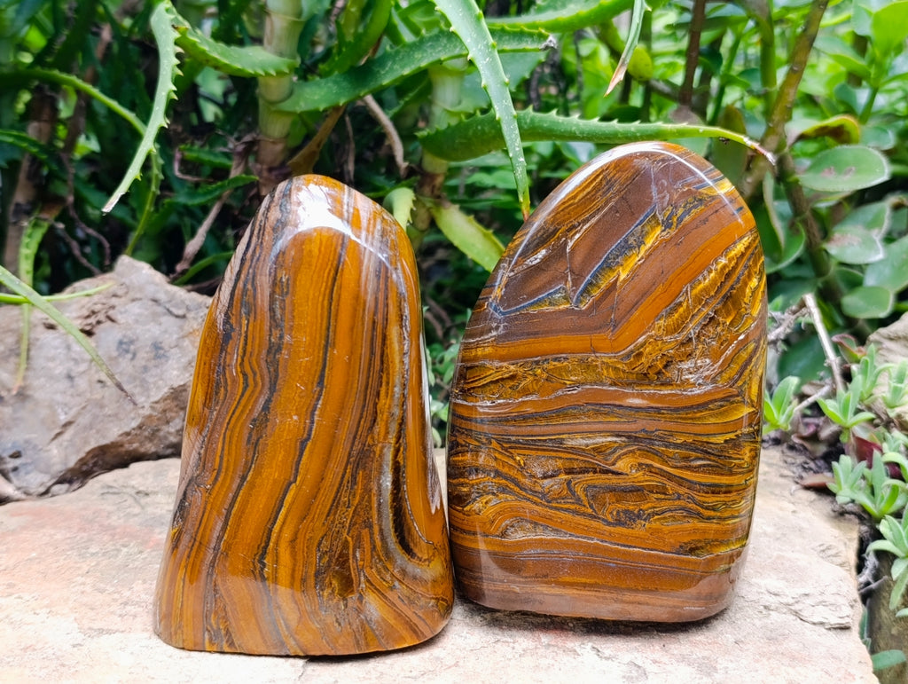Polished Golden Tigers Eye With Banded Iron Stone Standing Free Forms x 2 From Prieska, South Africa