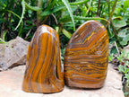 Polished Golden Tigers Eye With Banded Iron Stone Standing Free Forms x 2 From Prieska, South Africa