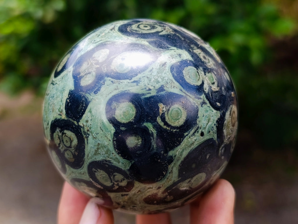 Polished Stromatolite Spheres x 3 From Katsepy, Madagascar