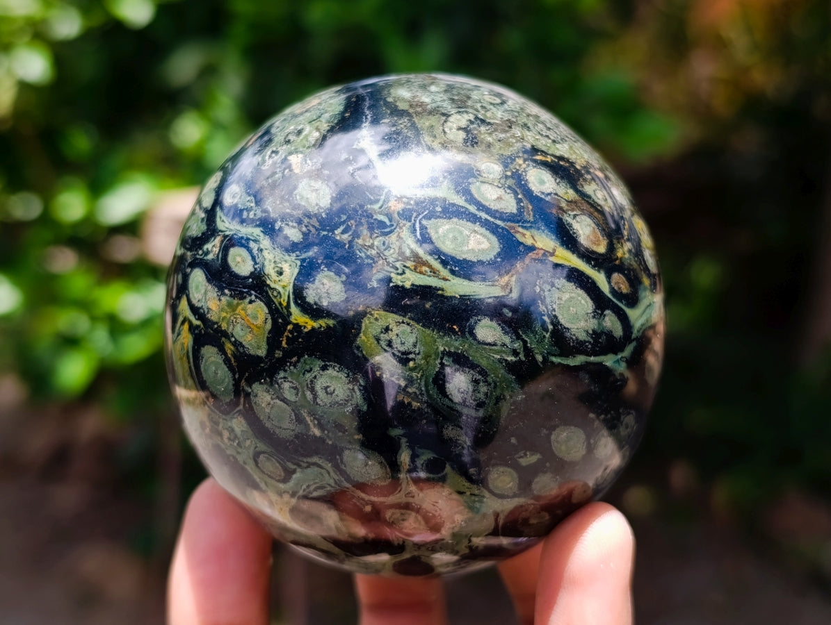 Polished Stromatolite Spheres x 3 From Katsepy, Madagascar