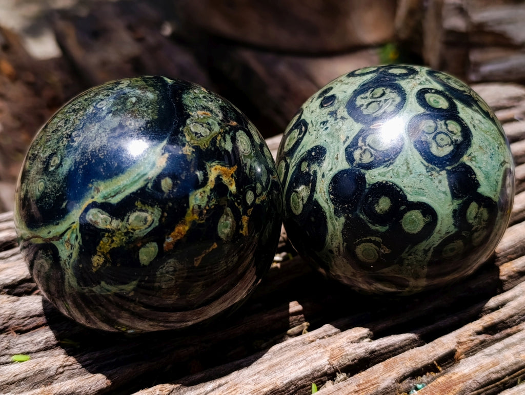 Polished Stromatolite Spheres x 3 From Katsepy, Madagascar