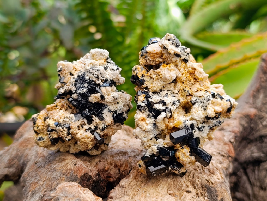 Natural Schorl Black Tourmaline With Orthoclase Specimens x 6 From Erongo, Namibia