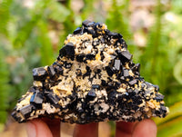 Natural Schorl Black Tourmaline With Orthoclase Specimens x 6 From Erongo, Namibia