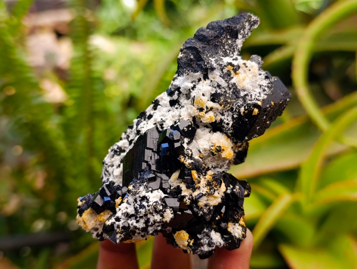 Natural Schorl Black Tourmaline With Orthoclase Specimens x 6 From Erongo, Namibia