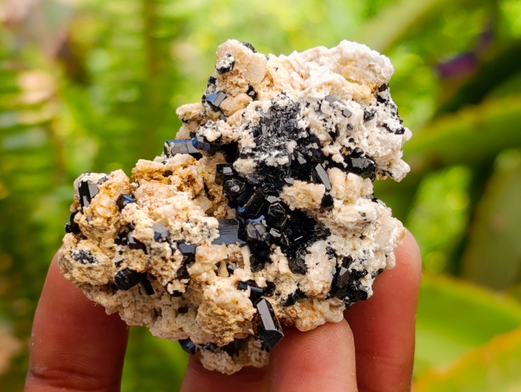 Natural Schorl Black Tourmaline With Orthoclase Specimens x 6 From Erongo, Namibia