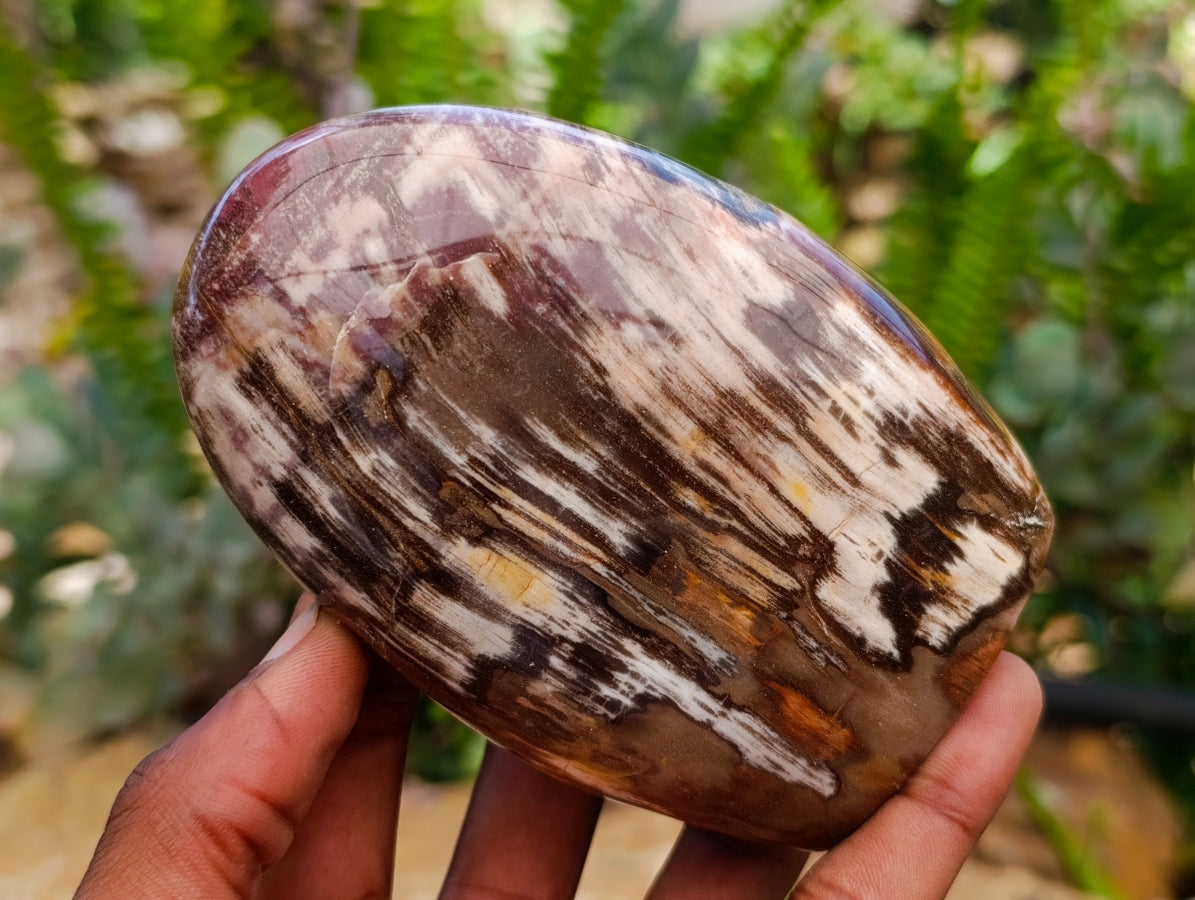 Polished Red Podocarpus Petrified Wood Standing Free Forms x 4 From Mahajanga, Madagascar