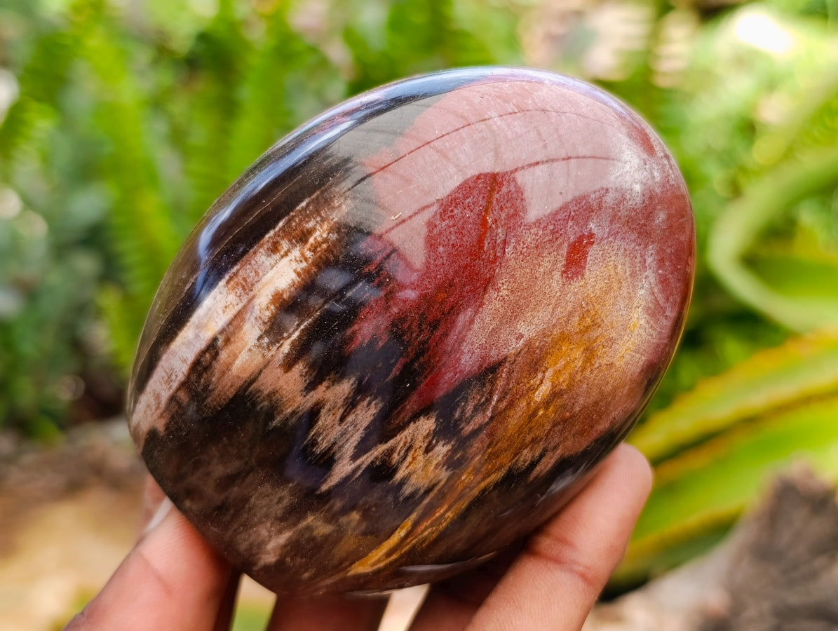 Polished Red Podocarpus Petrified Wood Standing Free Forms x 4 From Mahajanga, Madagascar