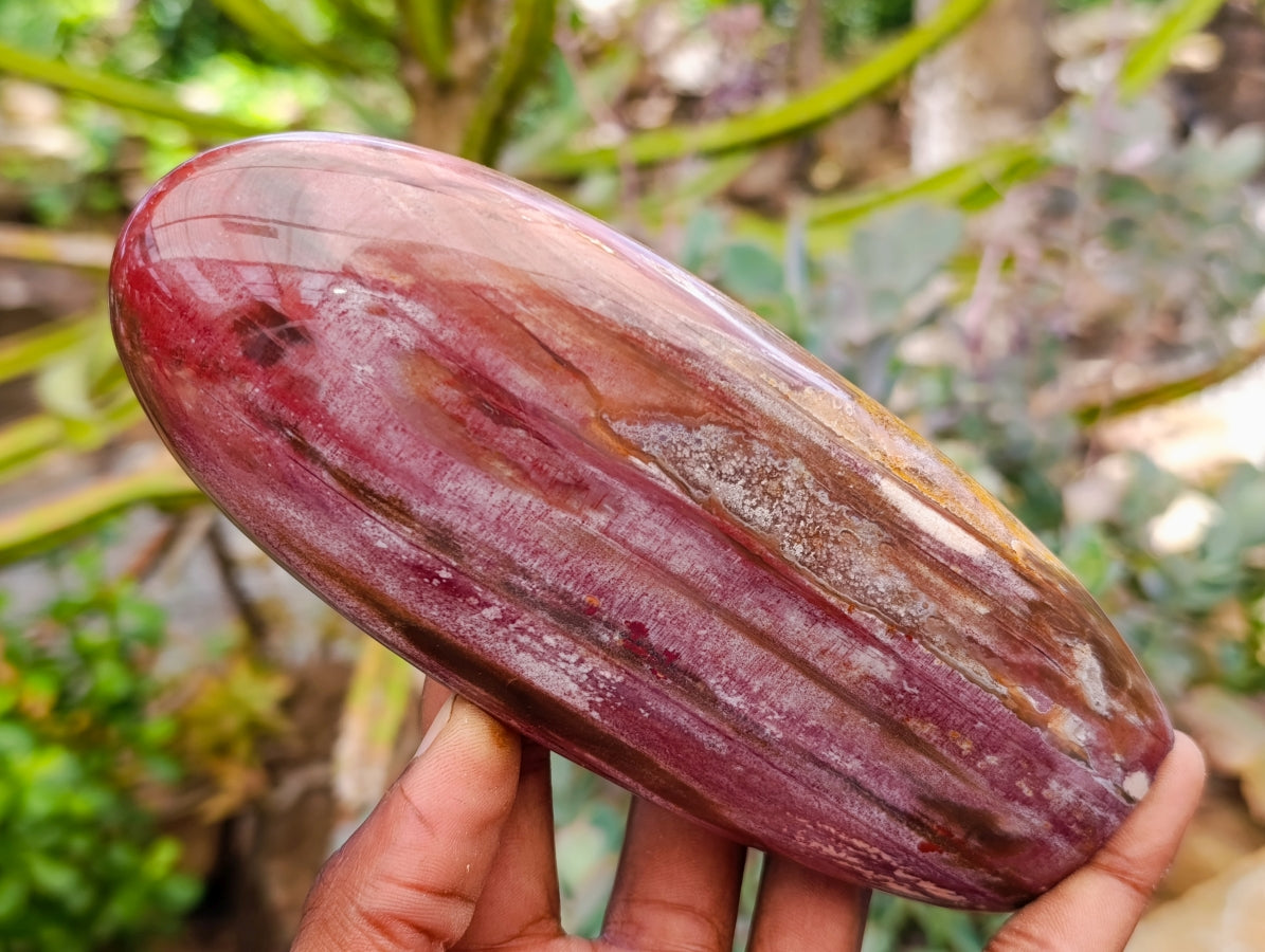 Polished Red Podocarpus Petrified Wood Standing Free Forms x 4 From Mahajanga, Madagascar