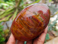 Polished Red Podocarpus Petrified Wood Standing Free Forms x 4 From Mahajanga, Madagascar