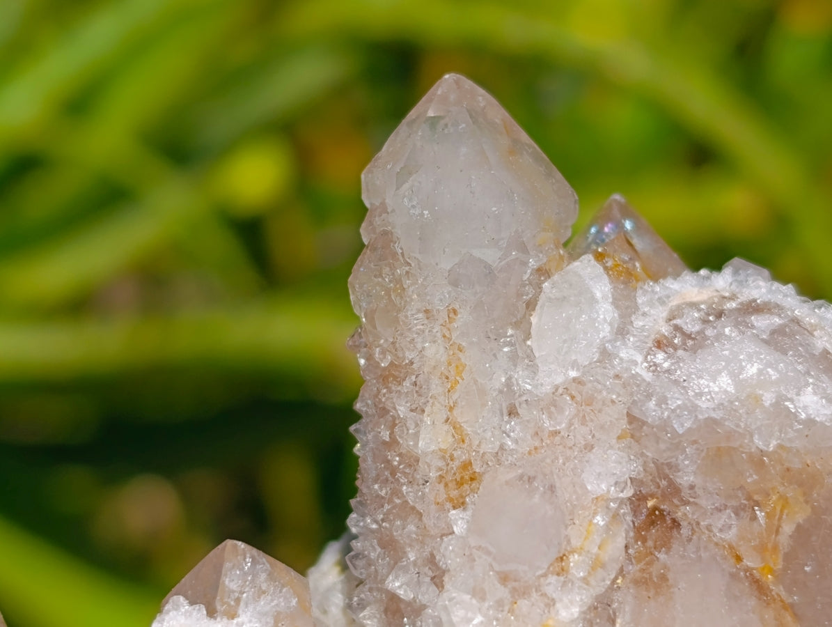 Natural Golden Limonite Spirit Quartz Clusters x 6 From Boekenhouthoek, South Africa
