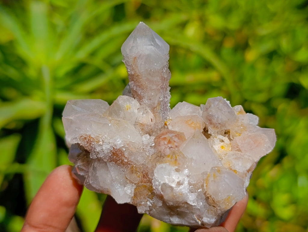 Natural Golden Limonite Spirit Quartz Clusters x 6 From Boekenhouthoek, South Africa