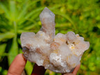 Natural Golden Limonite Spirit Quartz Clusters x 6 From Boekenhouthoek, South Africa