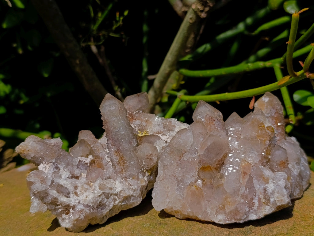 Natural Golden Limonite Spirit Quartz Clusters x 6 From Boekenhouthoek, South Africa