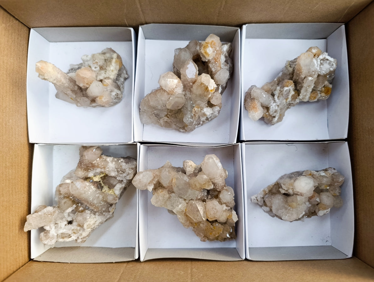 Natural Golden Limonite Spirit Quartz Clusters x 6 From Boekenhouthoek, South Africa