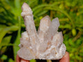 Natural Golden Limonite Spirit Quartz Clusters x 6 From Boekenhouthoek, South Africa