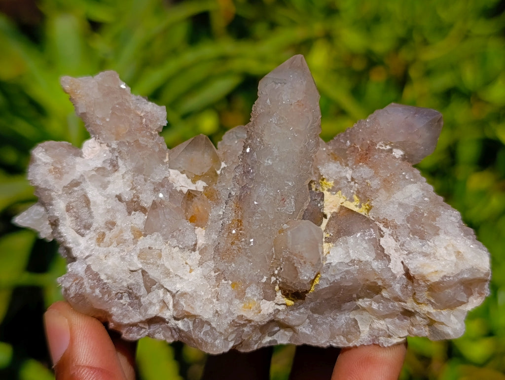 Natural Golden Limonite Spirit Quartz Clusters x 6 From Boekenhouthoek, South Africa