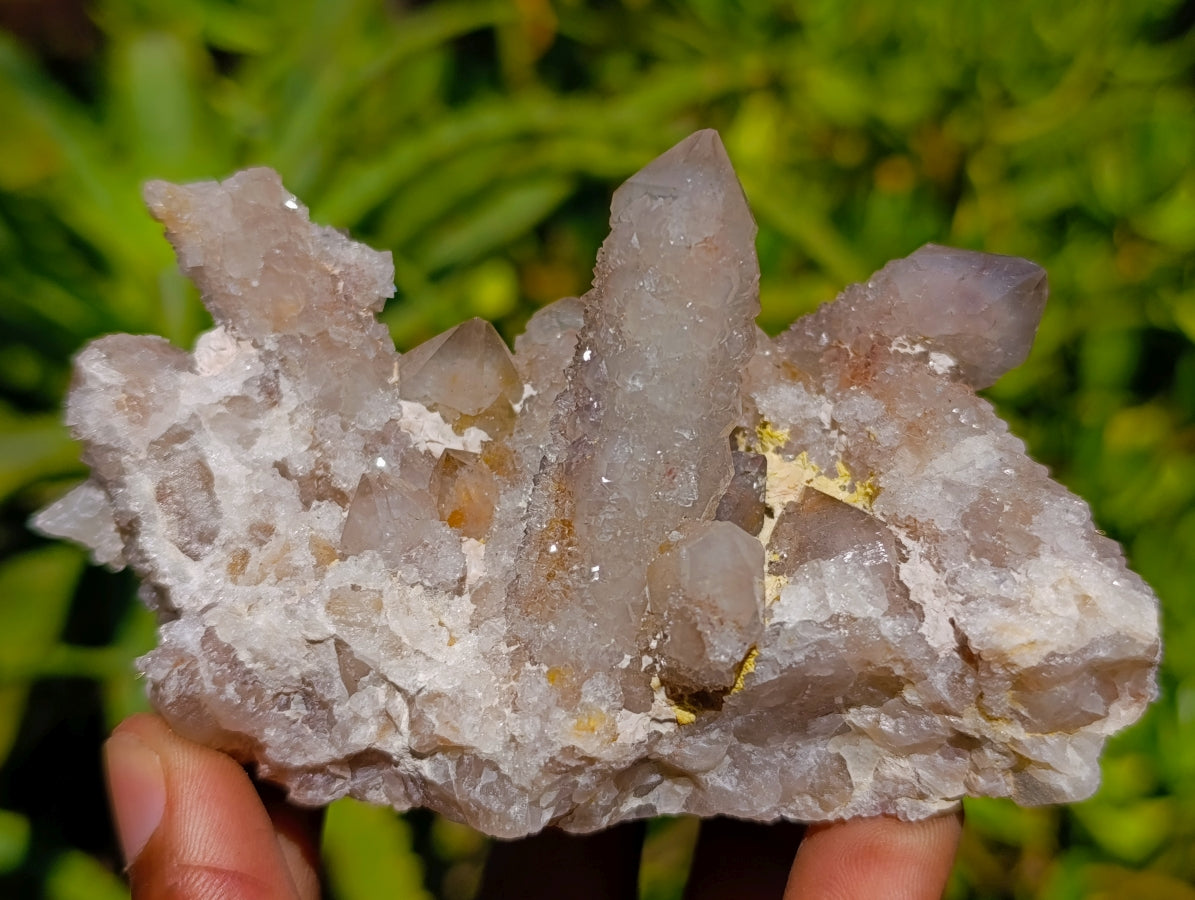 Natural Golden Limonite Spirit Quartz Clusters x 6 From Boekenhouthoek, South Africa