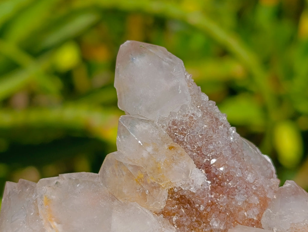Natural Golden Limonite Spirit Quartz Clusters x 6 From Boekenhouthoek, South Africa