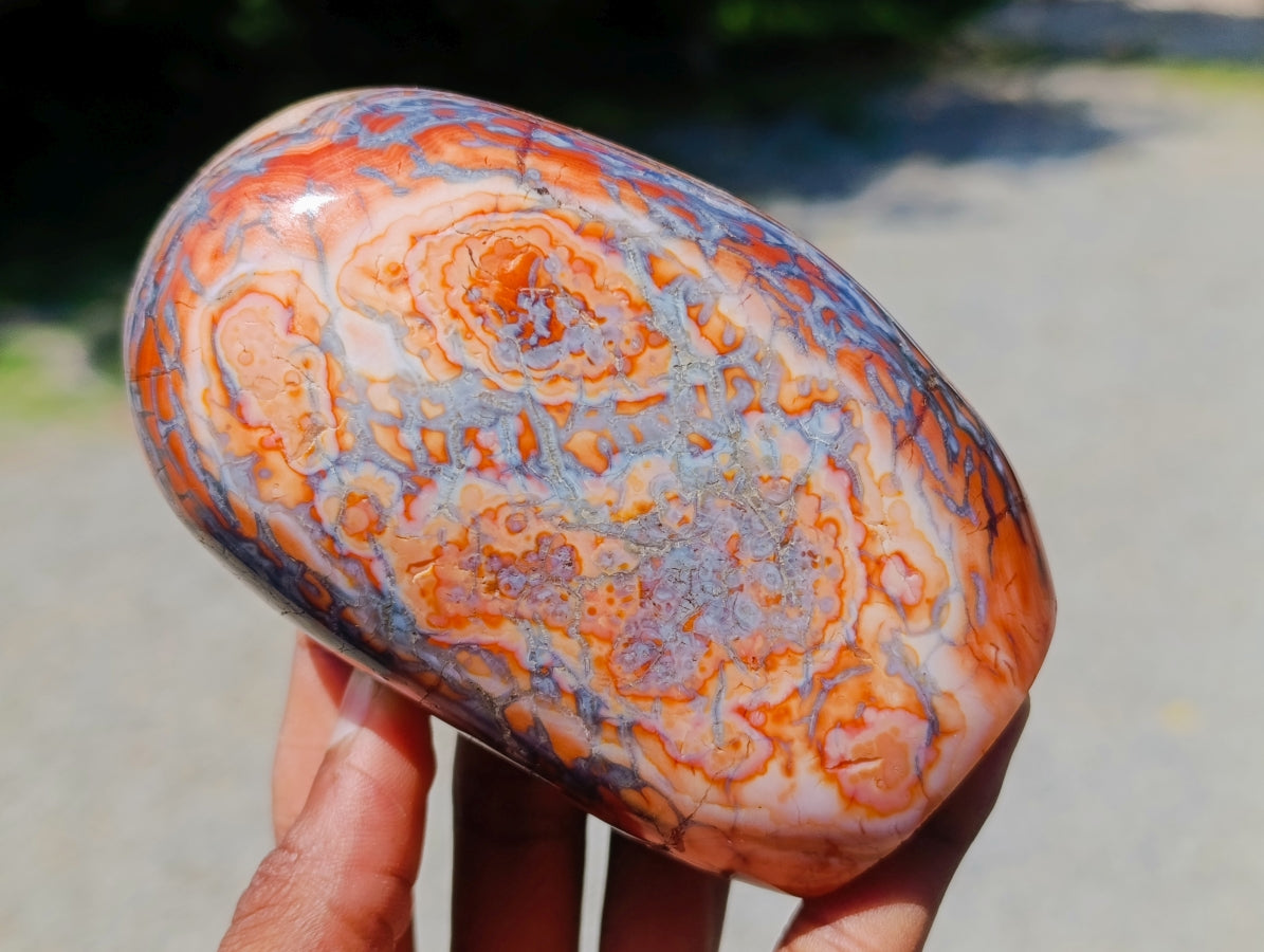Polished Carnelian Agate Gemstone Standing Free Forms x 3 From Madagascar