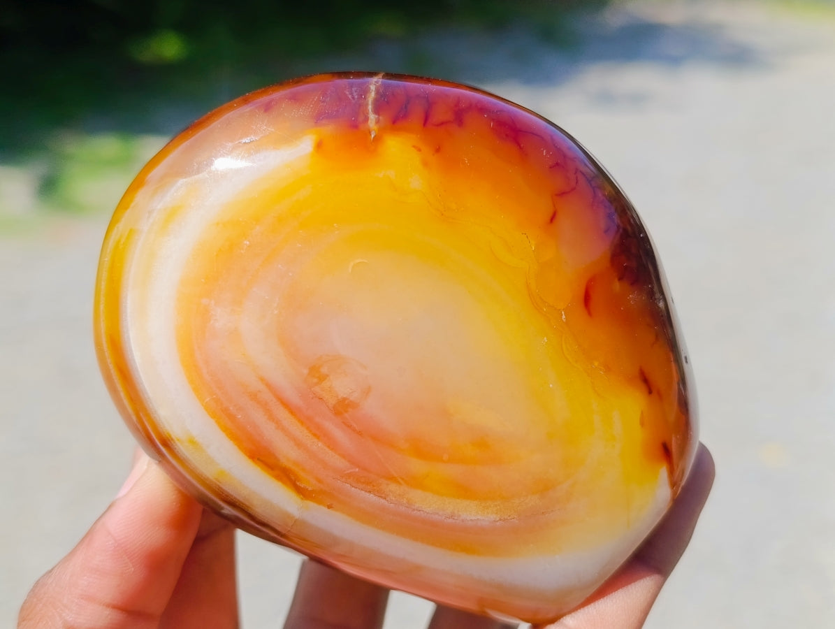 Polished Carnelian Agate Gemstone Standing Free Forms x 3 From Madagascar