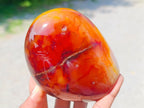 Polished Carnelian Agate Gemstone Standing Free Forms x 3 From Madagascar
