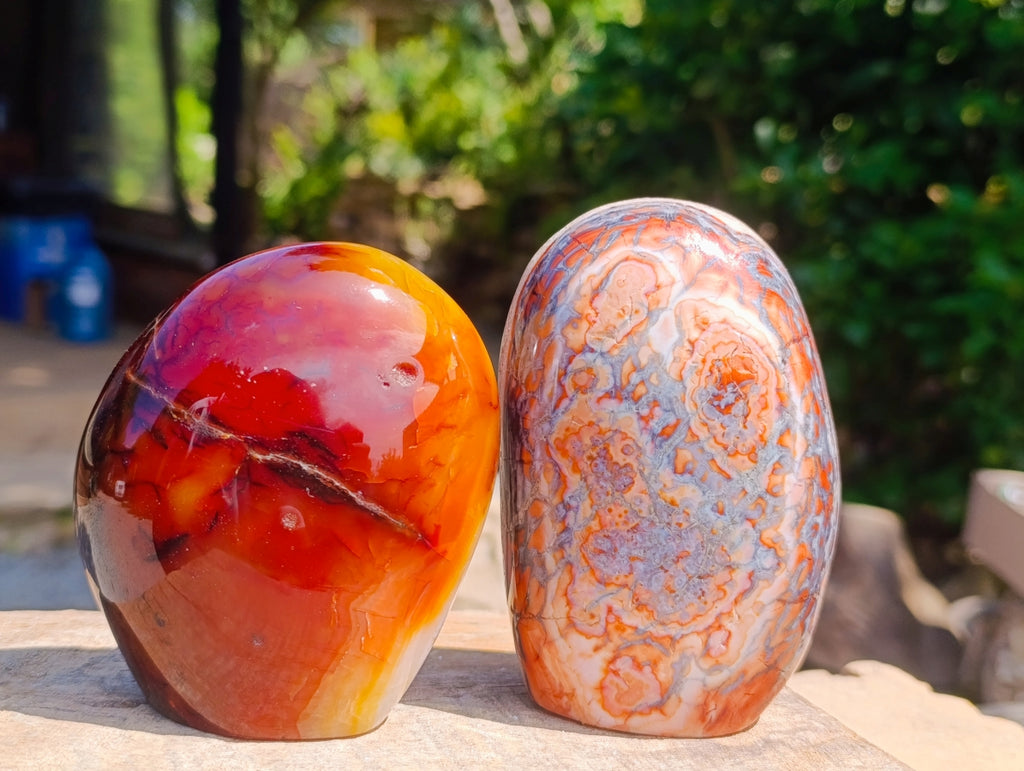 Polished Carnelian Agate Gemstone Standing Free Forms x 3 From Madagascar