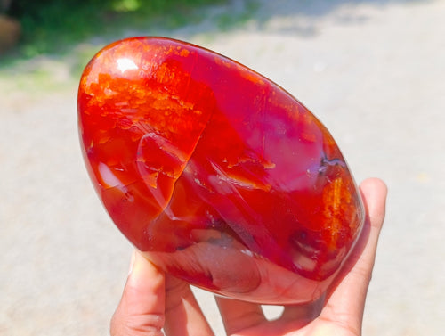 Polished Carnelian Agate Gemstone Standing Free Forms x 3 From Madagascar - Toprock Gemstones and Minerals 