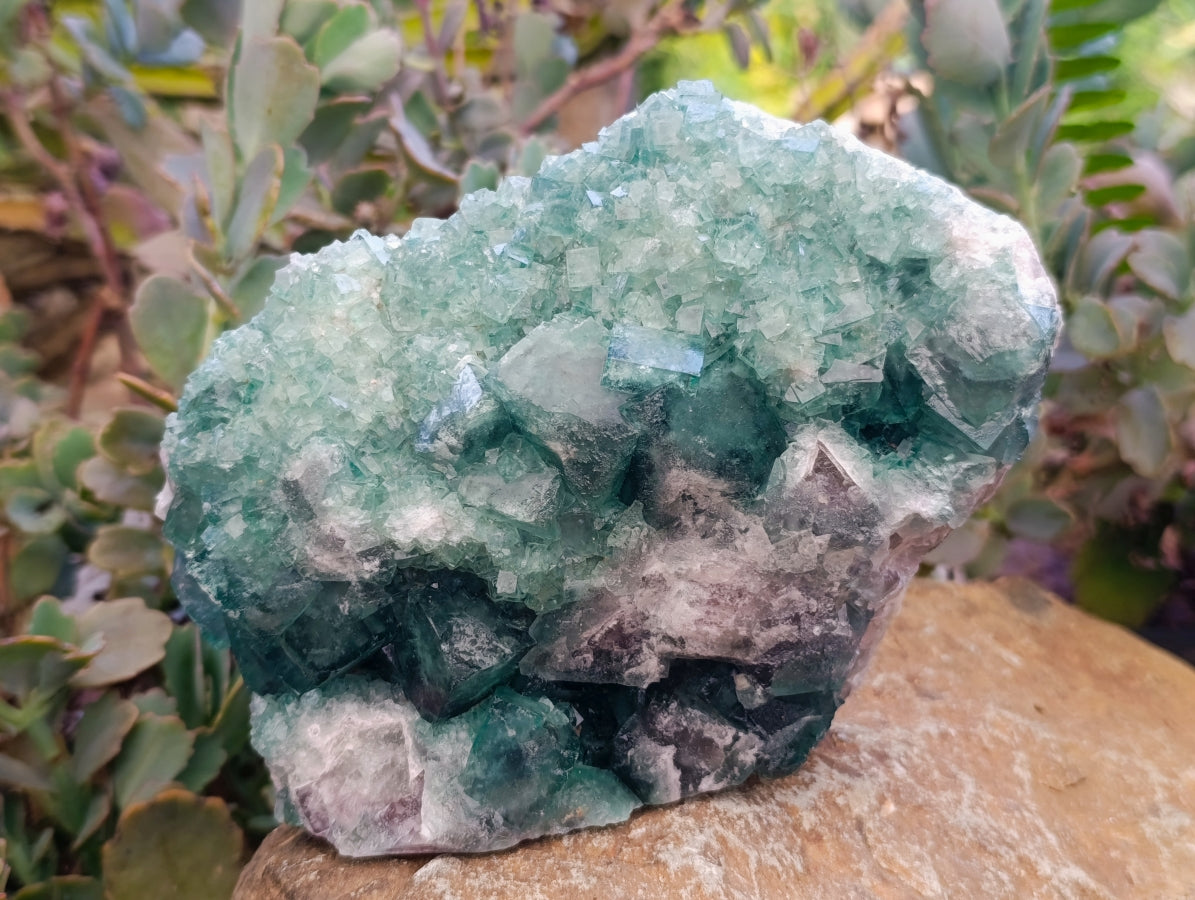 Natural Cubic Green Fluorite Cluster Specimens x 2 From Mandrosonoro, Madagascar