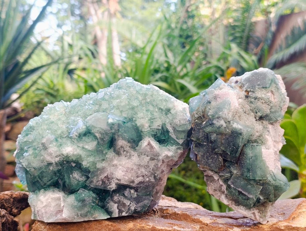 Natural Cubic Green Fluorite Cluster Specimens x 2 From Mandrosonoro, Madagascar