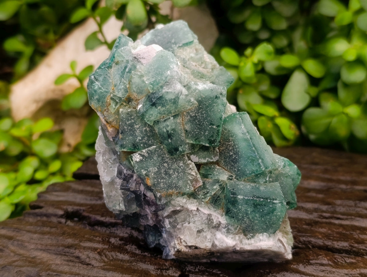 Natural Cubic Green Fluorite Cluster Specimens x 2 From Mandrosonoro, Madagascar