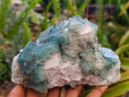 Natural Cubic Green Fluorite Cluster Specimens x 2 From Mandrosonoro, Madagascar