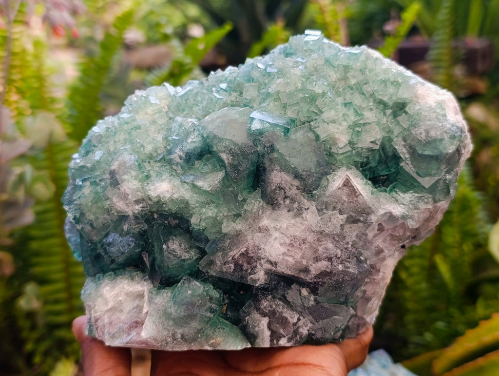 Natural Cubic Green Fluorite Cluster Specimens x 2 From Mandrosonoro, Madagascar