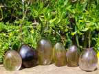 Polished Smokey Quartz Standing Free Forms x 6 From Madagascar