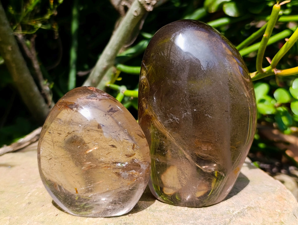 Polished Smokey Quartz Standing Free Forms x 6 From Madagascar