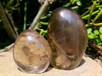 Polished Smokey Quartz Standing Free Forms x 6 From Madagascar