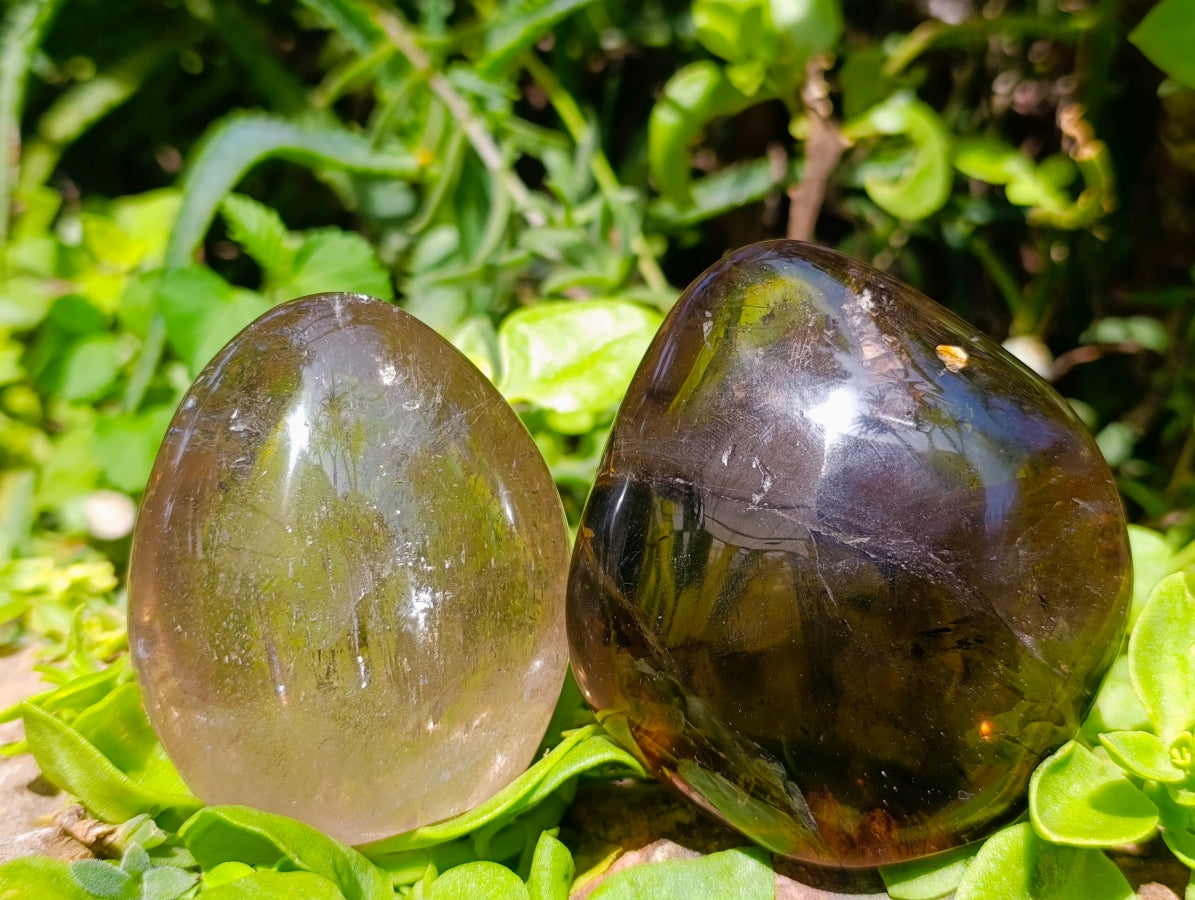 Polished Smokey Quartz Standing Free Forms x 6 From Madagascar
