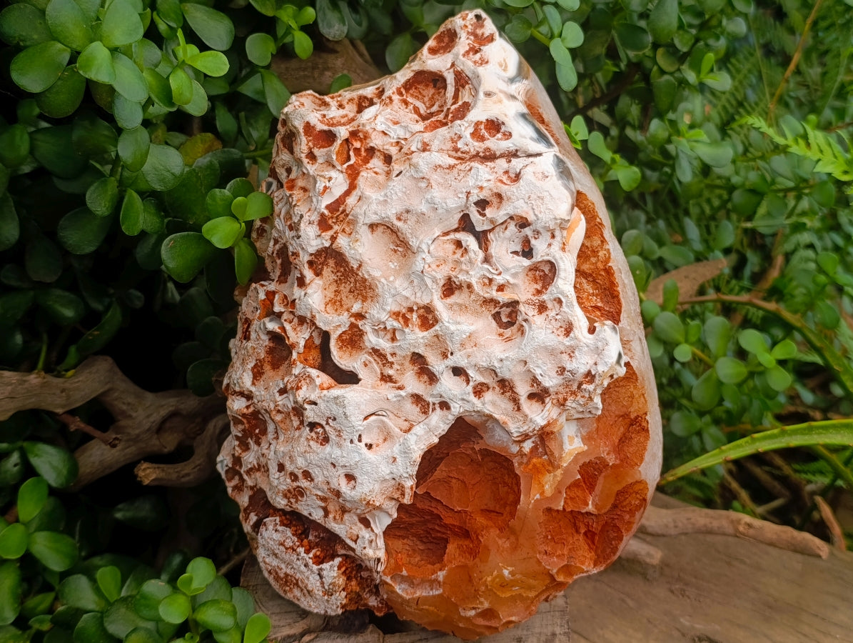 Polished XL Banded Agate with Crystalline Geode x 1 From Maintirano, Madagascar