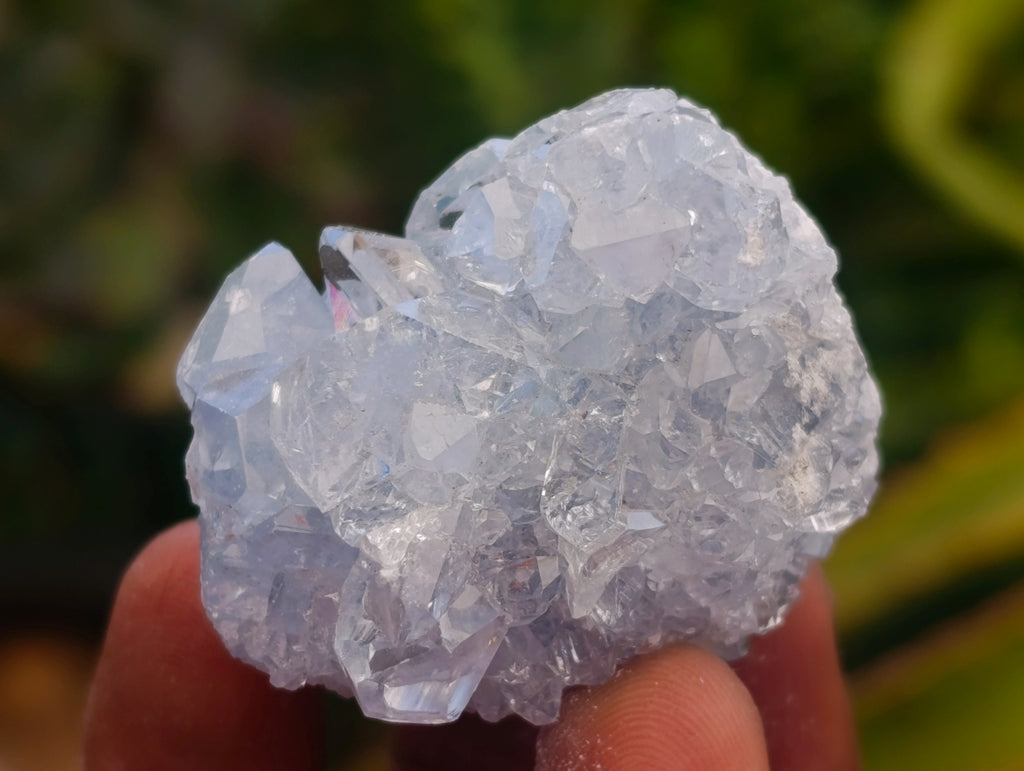 Natural Blue Celestite Specimens x 17 From Sakoany, Madagascar