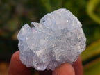 Natural Blue Celestite Specimens x 17 From Sakoany, Madagascar