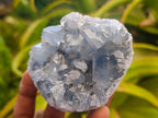 Natural Blue Celestite Specimens x 17 From Sakoany, Madagascar