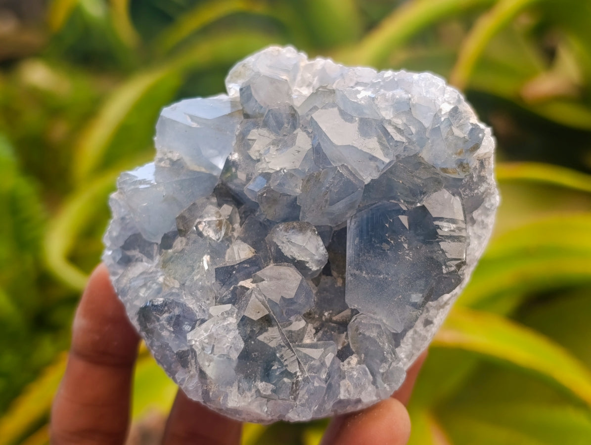 Natural Blue Celestite Specimens x 17 From Sakoany, Madagascar