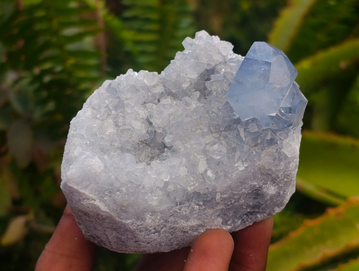 Natural Blue Celestite Specimens x 17 From Sakoany, Madagascar