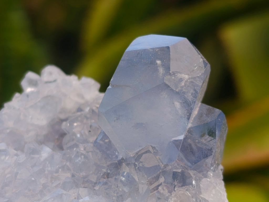 Natural Blue Celestite Specimens x 17 From Sakoany, Madagascar