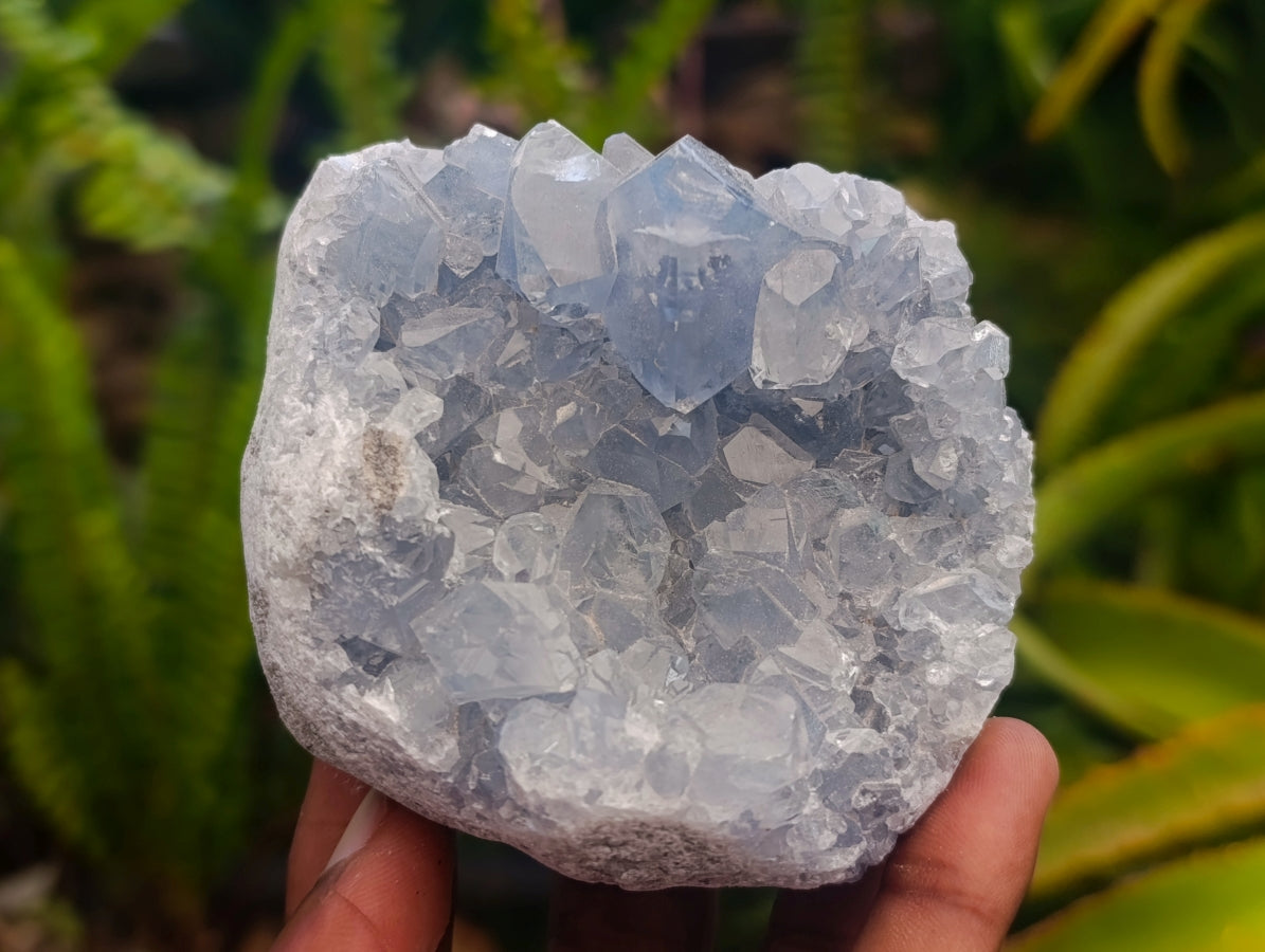 Natural Blue Celestite Specimens x 17 From Sakoany, Madagascar