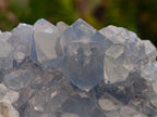 Natural Blue Celestite Specimens x 17 From Sakoany, Madagascar