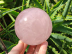 Polished Gemmy Star Rose Quartz Spheres x 2 From Madagascar