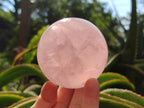 Polished Gemmy Star Rose Quartz Spheres x 2 From Madagascar