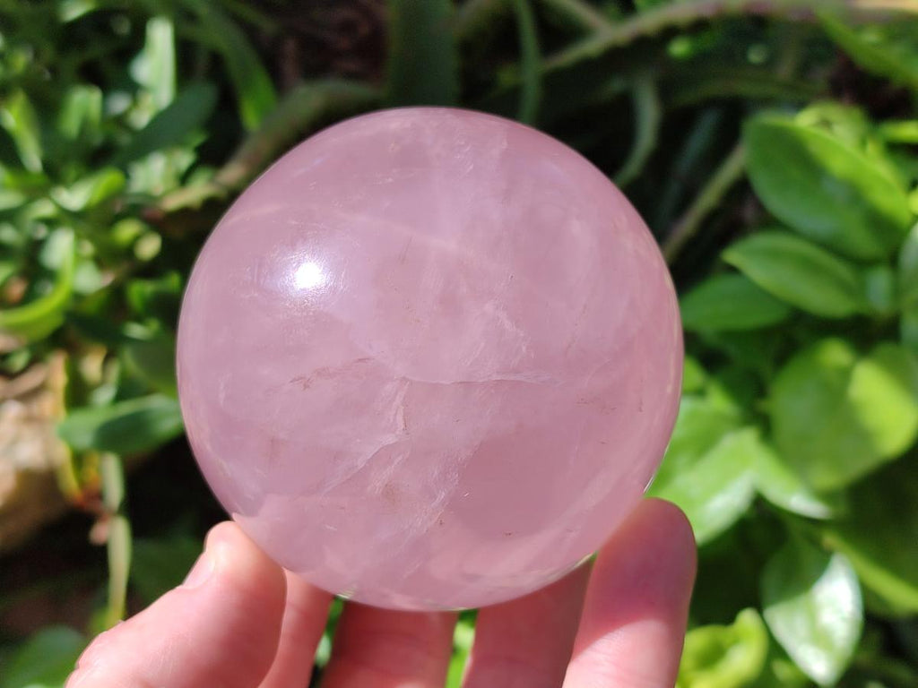 Polished Gemmy Star Rose Quartz Spheres x 2 From Madagascar