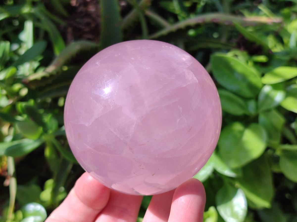 Polished Gemmy Star Rose Quartz Spheres x 2 From Madagascar